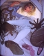 Невероятные приключения Алисы в стране чудес, проиллюстрированные Грегом Хильдебрандтом (Greg Hildebrandt)